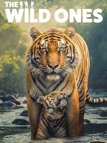 مسلسل The Wild Ones الموسم الاول الحلقة 5 مترجمة