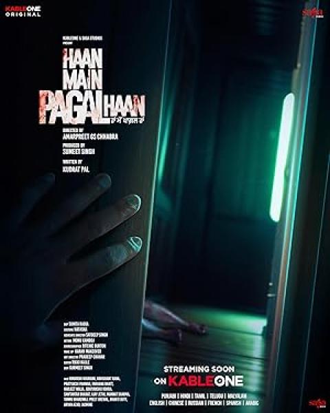 فيلم Haan Main Pagal Haan 2025 مترجم