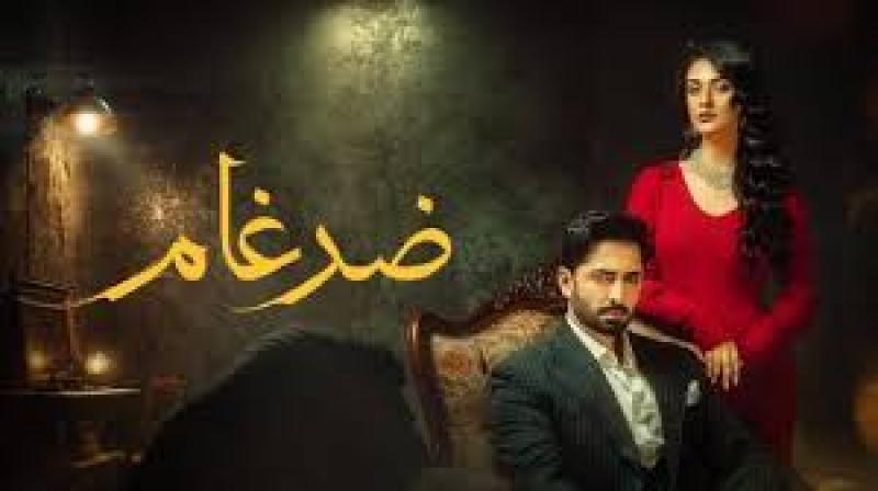 مسلسل ضرغام الموسم الاول الحلقة 29 مدبلجة