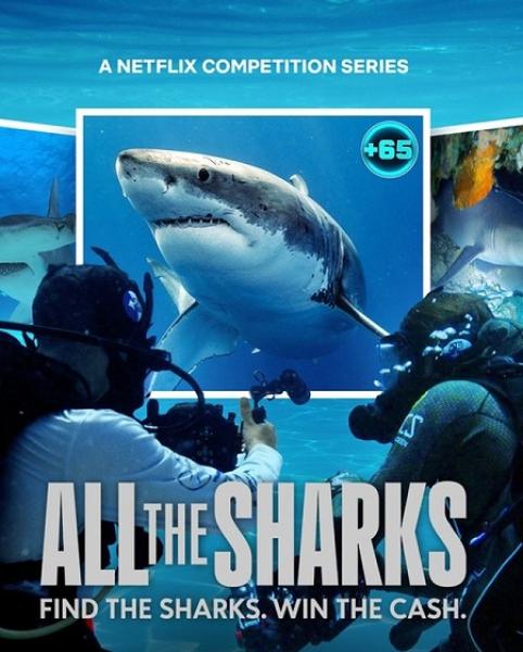 مسلسل All the Sharks الموسم الاول الحلقة 4 مترجمة