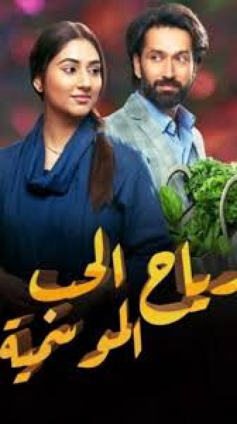 مسلسل رياح الحب الموسمية الموسم الخامس الحلقة 27 مدبلجة