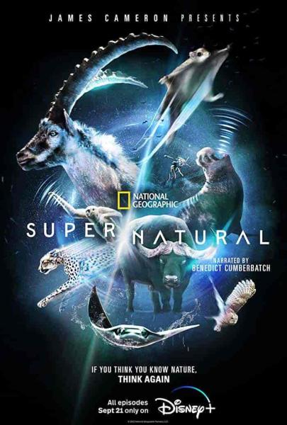 مسلسل Super Natural الموسم الاول الحلقة 3 الثالثة مترجمة