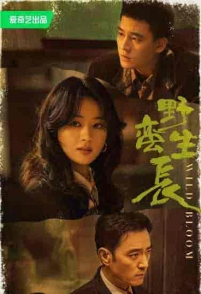 مسلسل النمو الوحشي Wild Bloom الحلقة 18 مترجمة
