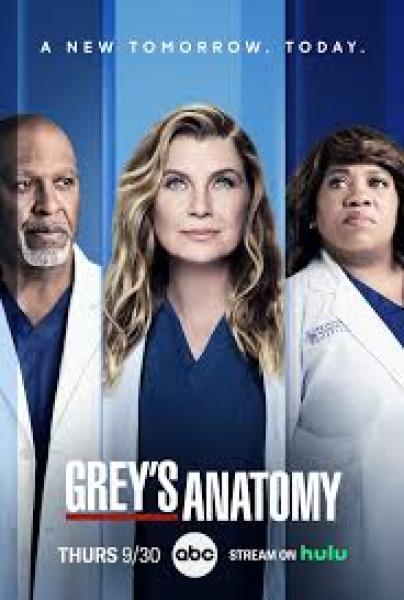 مسلسل greys anatomy الموسم 22 الحلقة 2 مترجمة