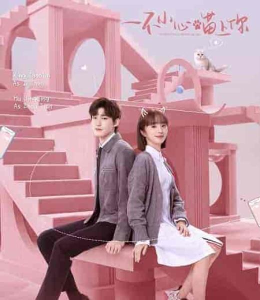 مسلسل مؤاء مؤاء يرتبط بالحب Accidentally Meow on You الحلقة 6 مترجمة