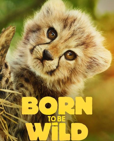 مسلسل Born to be Wild الموسم الاول الحلقة 2 مترجمة