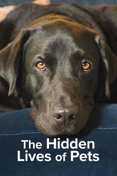 مسلسل The Hidden Lives of Pets الموسم الاول الحلقة 2 مترجمة