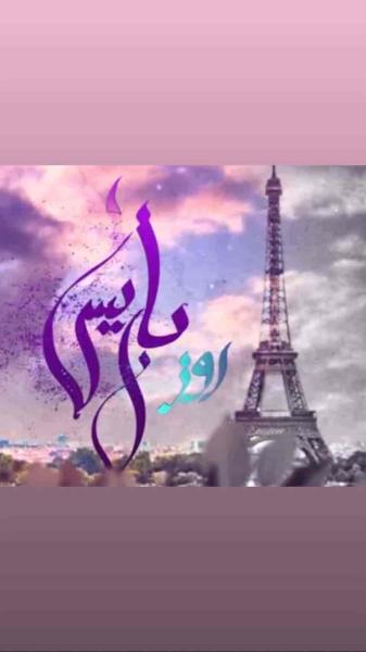مسلسل روز باريس الحلقة 17 السابعة عشر